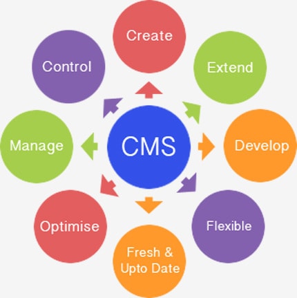 CMS & E-Comm Solution